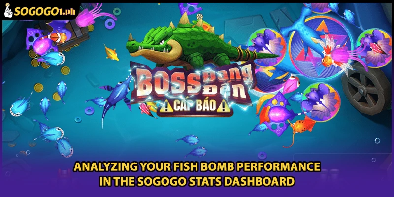 Analyzing your Fish Bomb performance in the SOGOGO stats dashboard