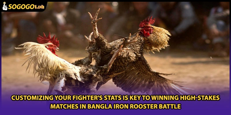 Customizing your fighter's stats is key to winning high-stakes matches in Bangla Iron Rooster Battle