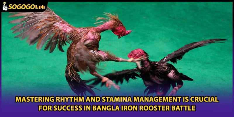 Mastering rhythm and stamina management is crucial for success in Bangla Iron Rooster Battle