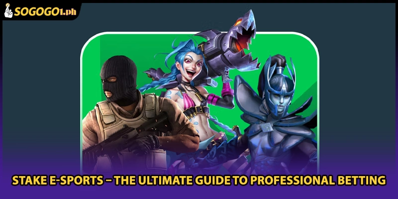Stake E-Sports – The Ultimate Guide to Professional Betting
