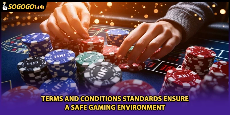 Terms and Conditions standards ensure a safe gaming environment