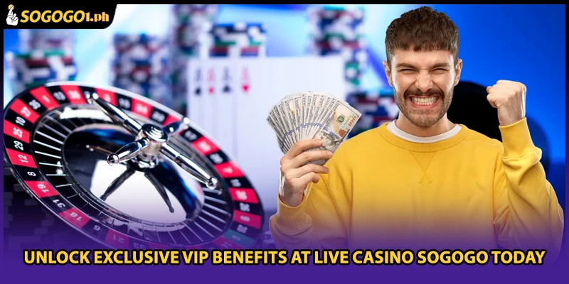 Unlock exclusive VIP benefits at Live casino SOGOGO today